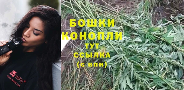 прущие крисы Белоозёрский