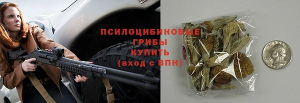 spice Белокуриха